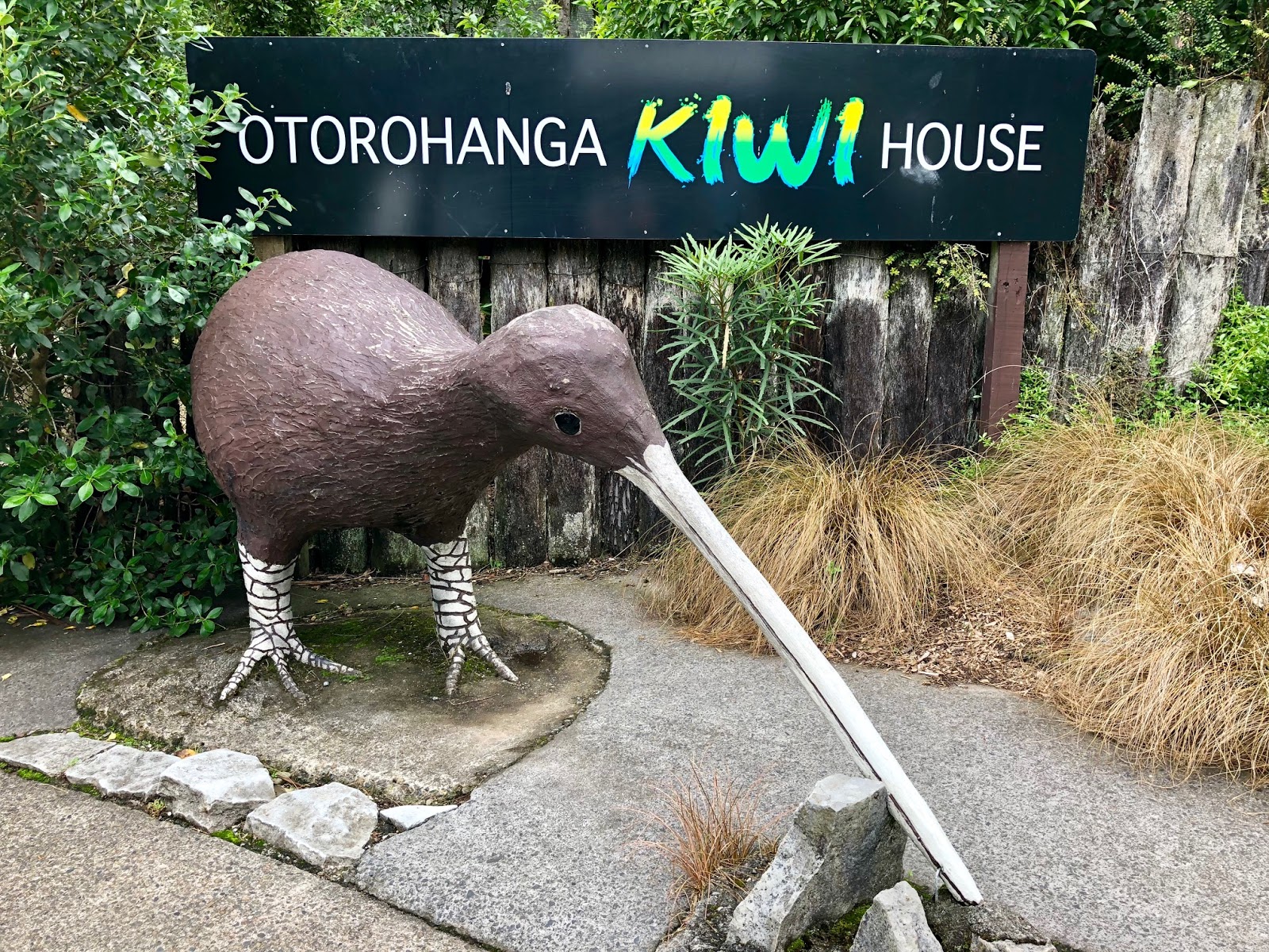 Banner - Otorohanga Kiwi House