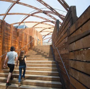 Magical walking and cave day trip