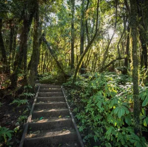 Super scenic & magical caves short break