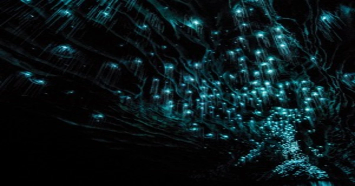 Banner - The History of Waitomo