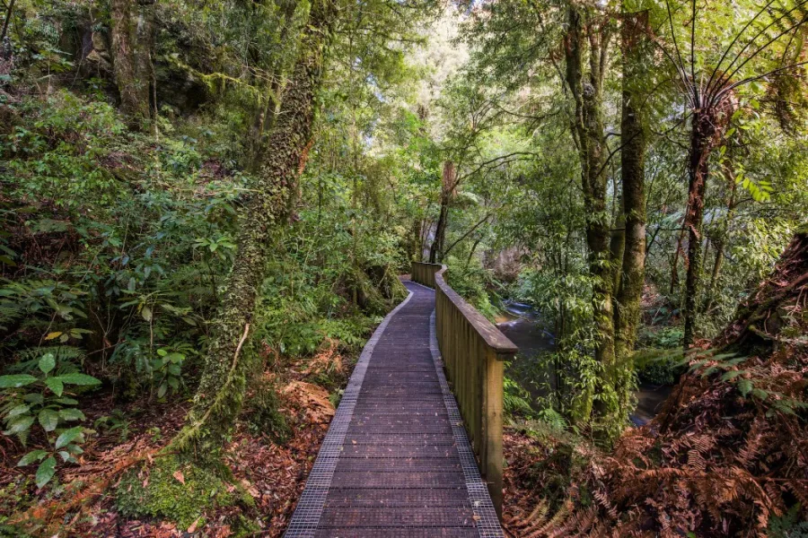 Banner - Mangapohue Natural Bridge