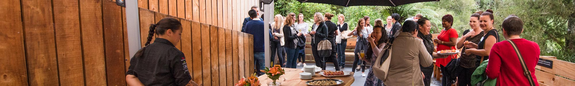 Banner - Discover More