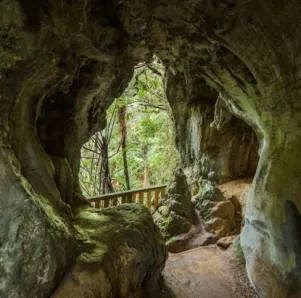 Discover Nature