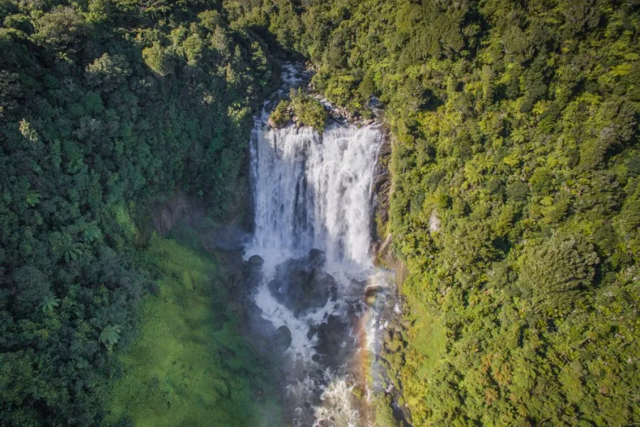 Banner - Marokopa Falls