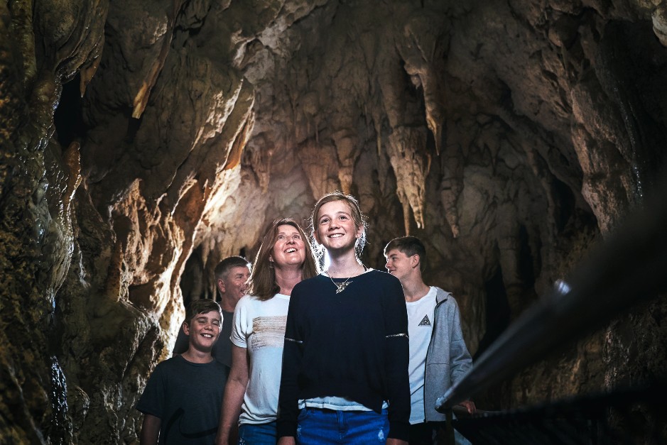 Banner - The History of Aranui Cave