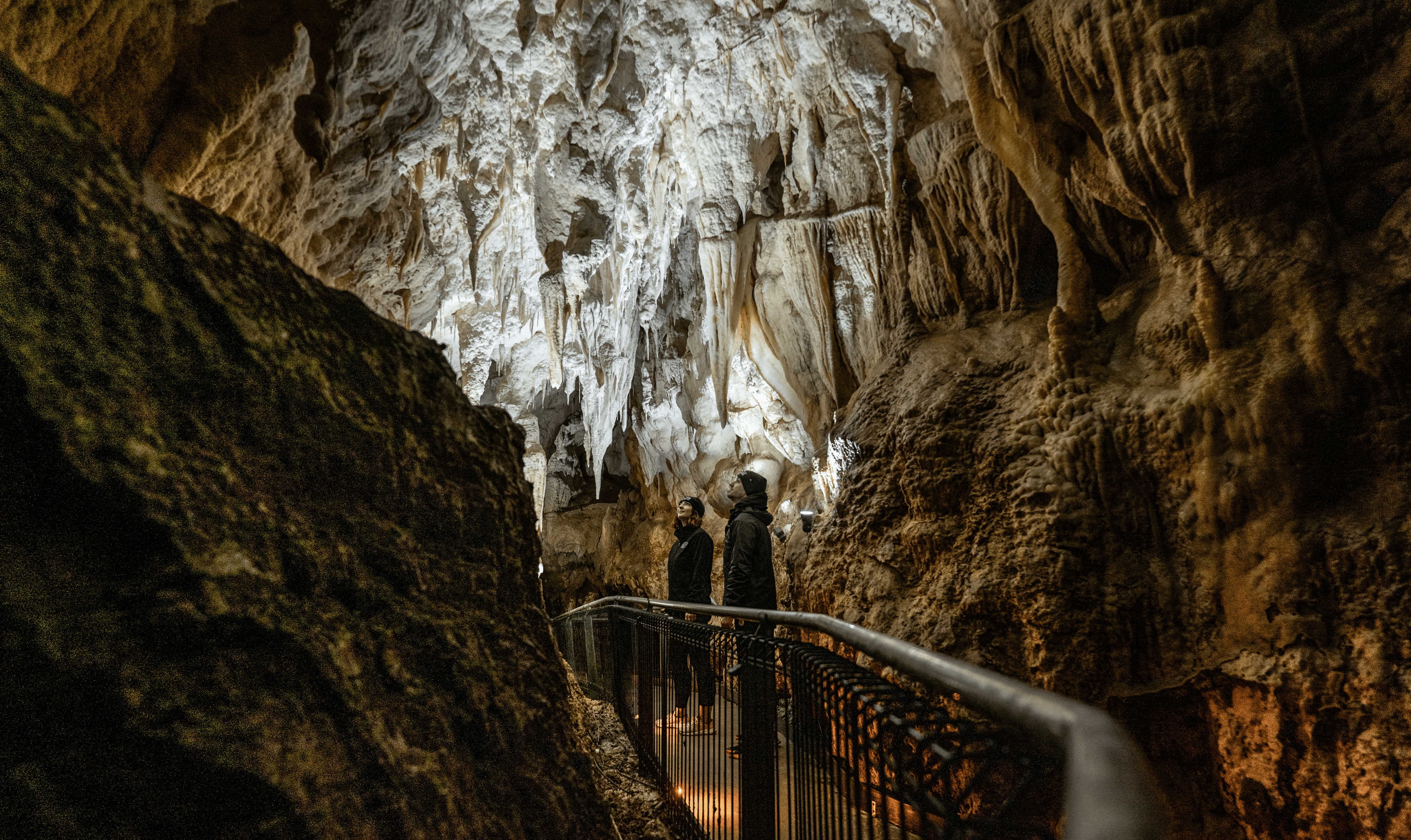 Page Hero - Ruakuri Cave Photography Tours