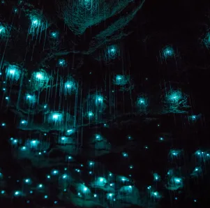 Maximum magical weekend underground