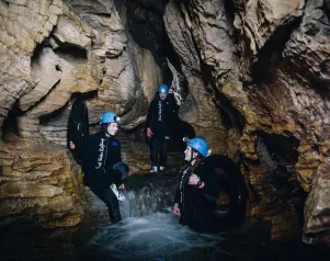 Black Labyrinth and Twin Cabin Combo