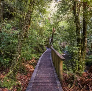 Mangapohue Natural Bridge