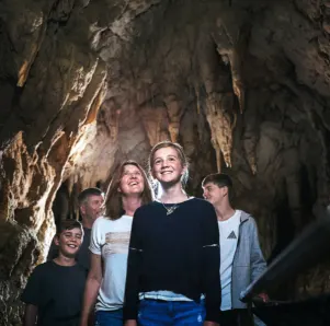Why Discover The Waitomo Caves?