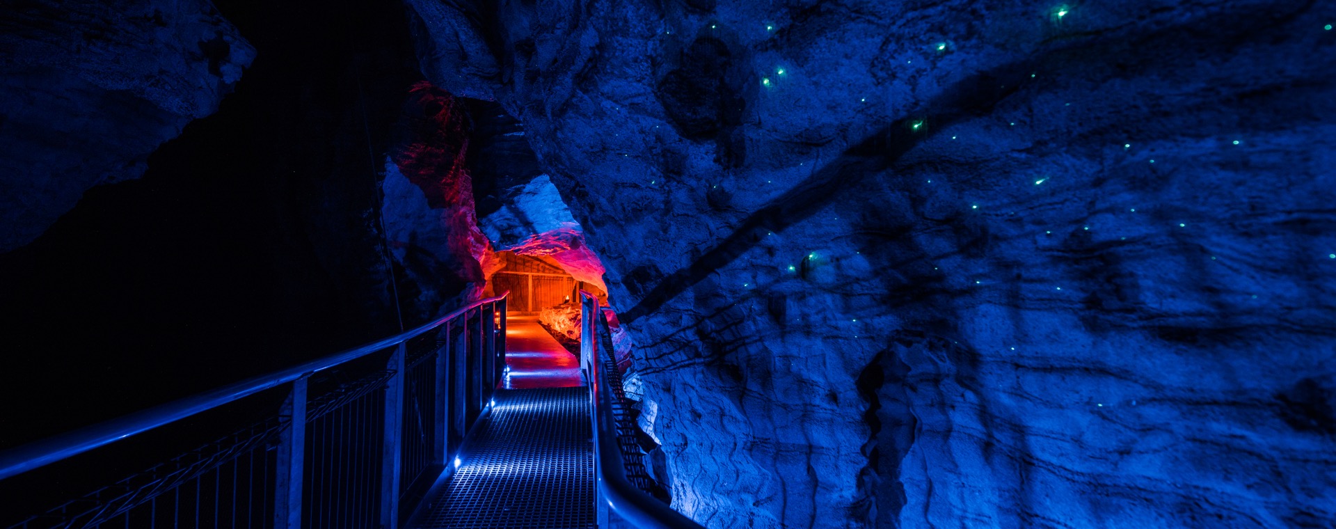 Page Hero - Discover