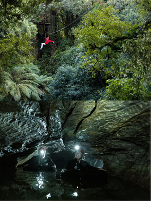 The Original Cave and Canopy Combo