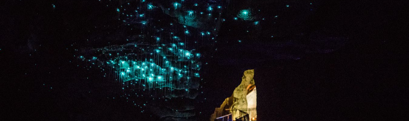 Hero Page - Waitomo schools