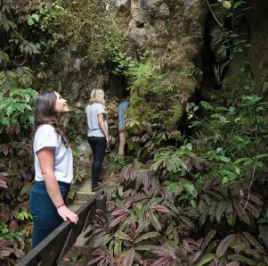 Special Rates For Schools