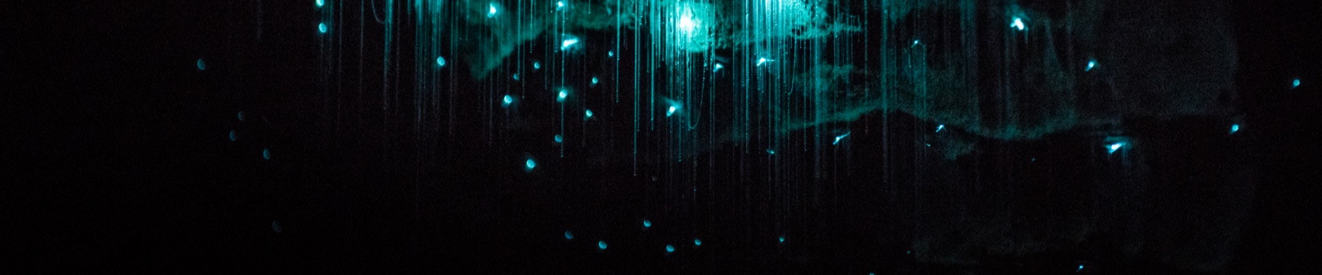 Page Hero - Compare experiences