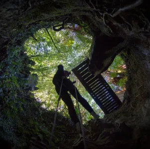 Maximum thrills day trip